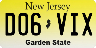 NJ license plate D06VIX
