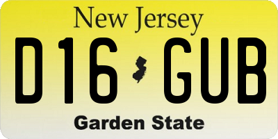 NJ license plate D16GUB