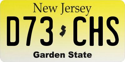 NJ license plate D73CHS