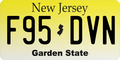 NJ license plate F95DVN