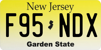 NJ license plate F95NDX