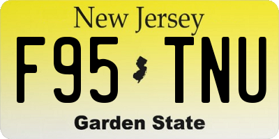 NJ license plate F95TNU