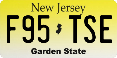 NJ license plate F95TSE
