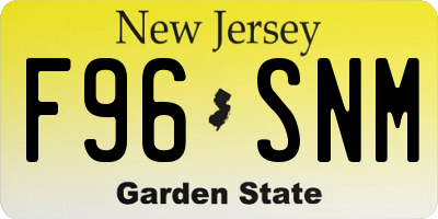 NJ license plate F96SNM