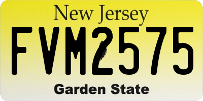 NJ license plate FVM2575