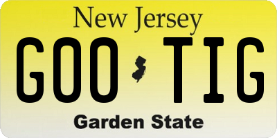 NJ license plate G00TIG