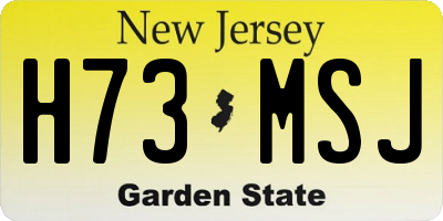 NJ license plate H73MSJ