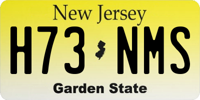 NJ license plate H73NMS