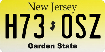 NJ license plate H73OSZ