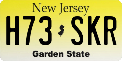 NJ license plate H73SKR