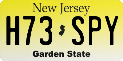 NJ license plate H73SPY