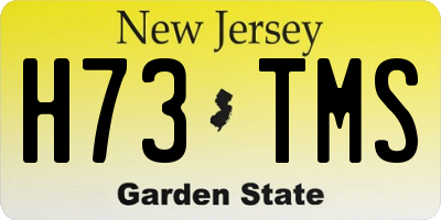 NJ license plate H73TMS