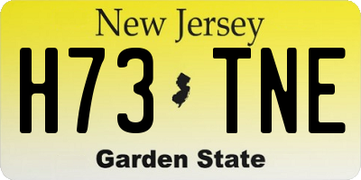 NJ license plate H73TNE