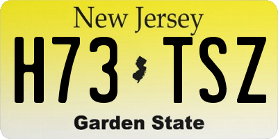 NJ license plate H73TSZ