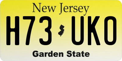 NJ license plate H73UKO