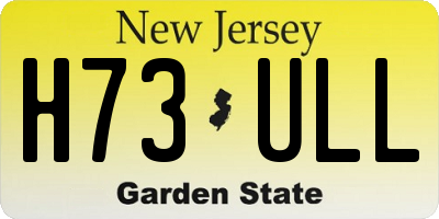 NJ license plate H73ULL