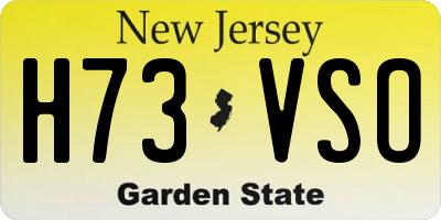 NJ license plate H73VSO