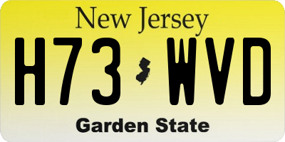 NJ license plate H73WVD