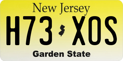 NJ license plate H73XOS