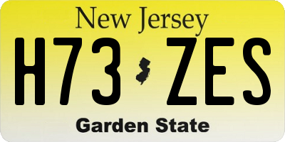 NJ license plate H73ZES