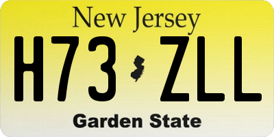 NJ license plate H73ZLL