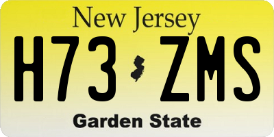 NJ license plate H73ZMS