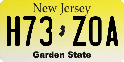 NJ license plate H73ZOA