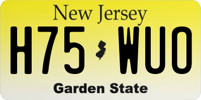 NJ license plate H75WUO