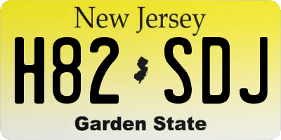 NJ license plate H82SDJ
