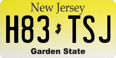 NJ license plate H83TSJ
