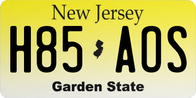 NJ license plate H85AOS