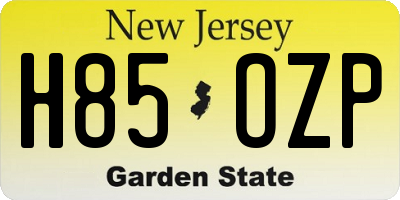 NJ license plate H85OZP