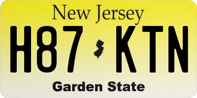 NJ license plate H87KTN