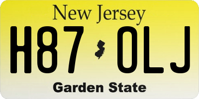 NJ license plate H87OLJ