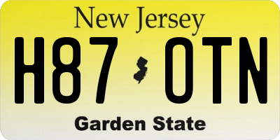 NJ license plate H87OTN