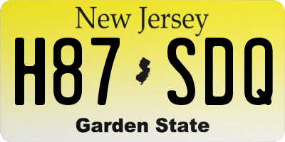 NJ license plate H87SDQ