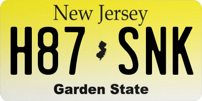 NJ license plate H87SNK