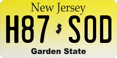 NJ license plate H87SOD