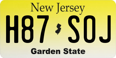 NJ license plate H87SOJ