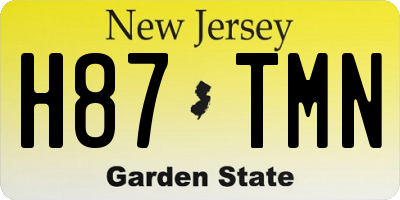 NJ license plate H87TMN