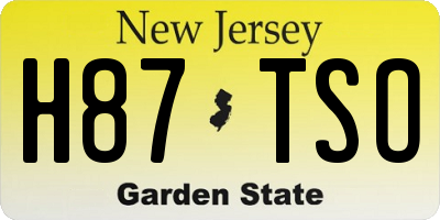 NJ license plate H87TSO