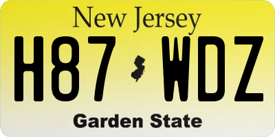 NJ license plate H87WDZ