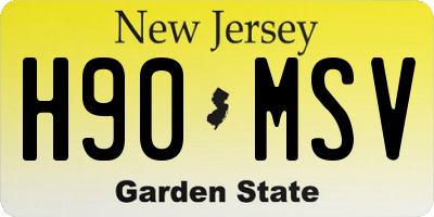 NJ license plate H90MSV