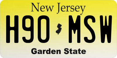 NJ license plate H90MSW