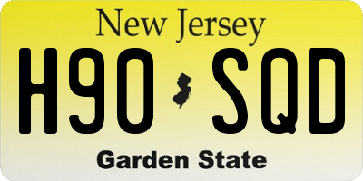 NJ license plate H90SQD