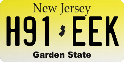 NJ license plate H91EEK
