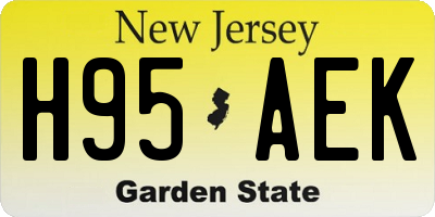 NJ license plate H95AEK