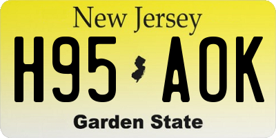 NJ license plate H95AOK