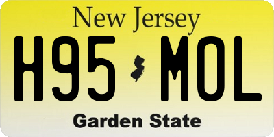 NJ license plate H95MOL