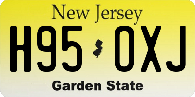 NJ license plate H95OXJ